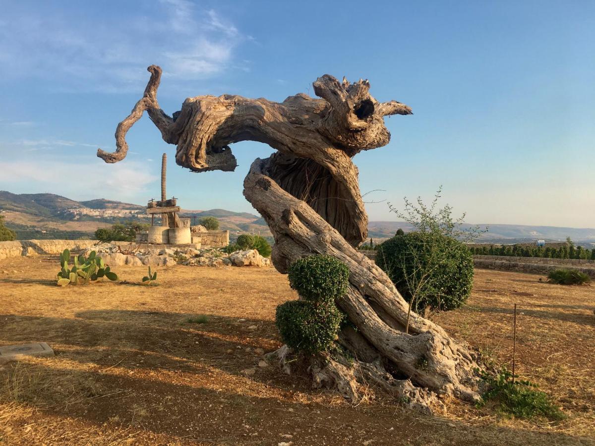 Locanda Gulfi 끼아라몬떼굴피 외부 사진